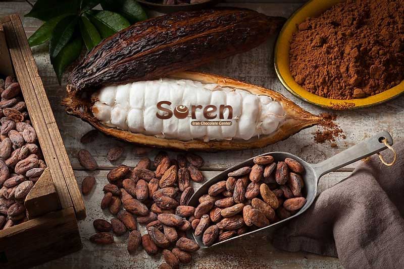 پودر کاکائو عمده ای