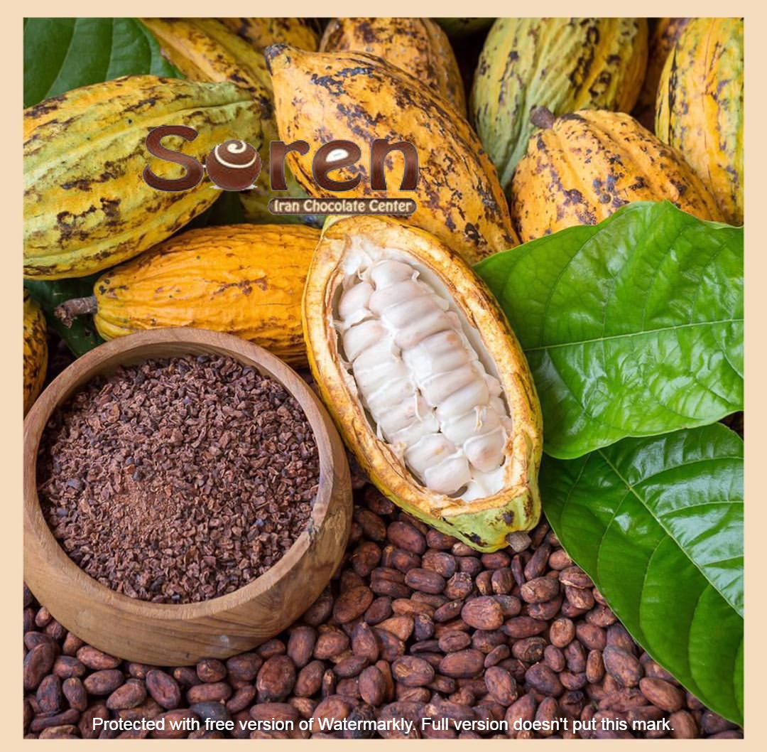 پودر کاکائو آلکالایز | برندهای پرفروش پودر کاکائو