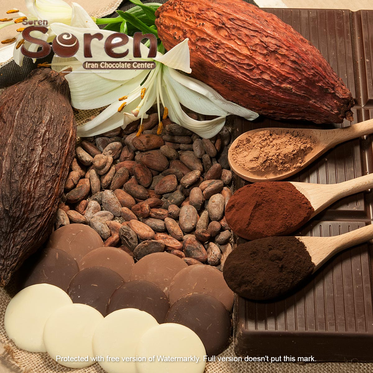 پودر کاکائو کارگیل | نمایندگی فروش پودر کاکائو