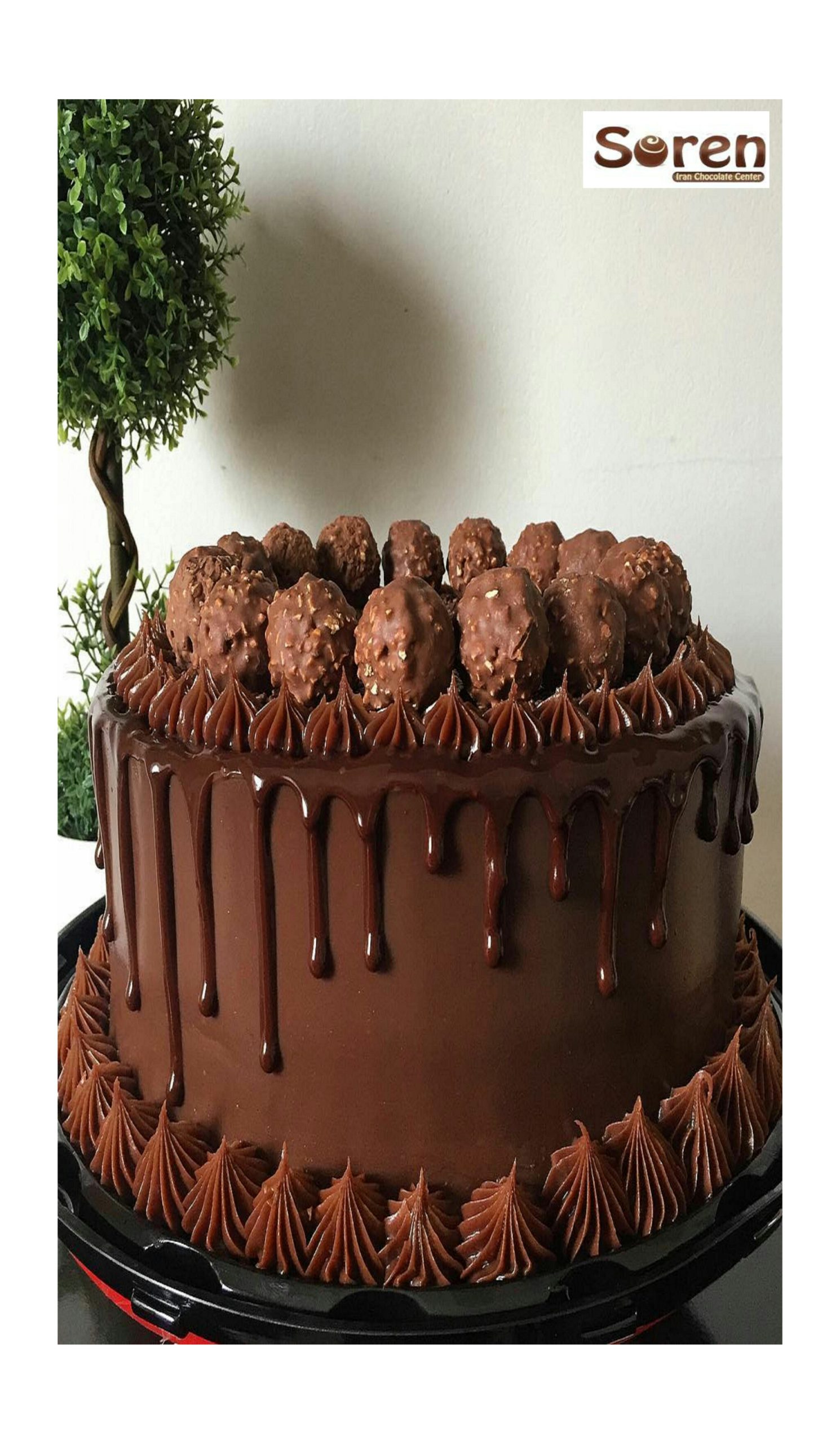 طرز استفاده از شکلات مایع روی کیک